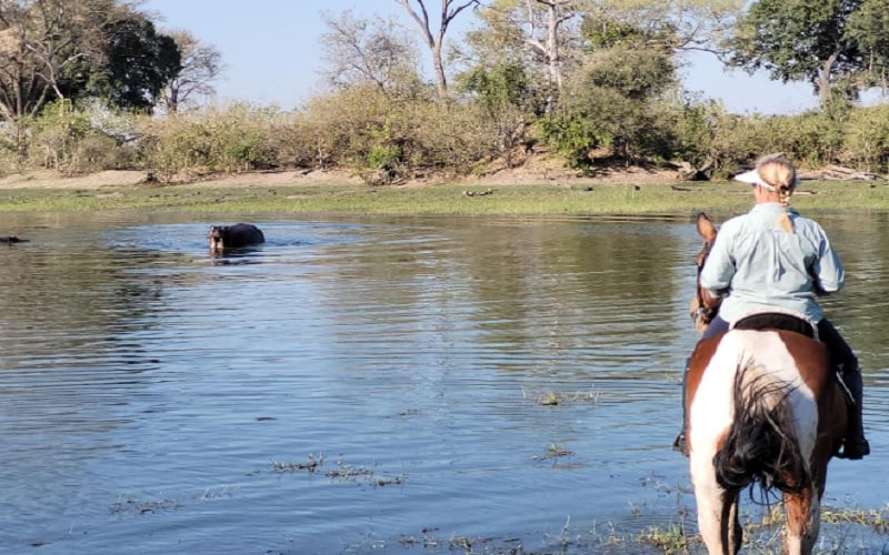 Bontsintsi Horse Safaris Okavango Delta